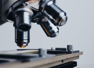 Stawianie celów i realizacja marzeń zawodowych