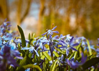 Hiszpański dla podróżników