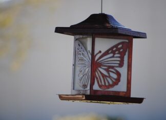 Projektowanie logotypów i brandingu