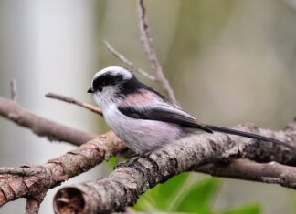 Energetyka odnawialna