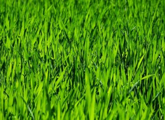 Higiena osobista i pielęgnacja ciała