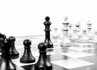 Przywództwo i zarządzanie