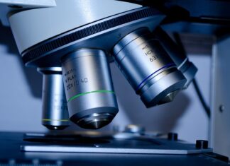 Studia podyplomowe i doktoranckie